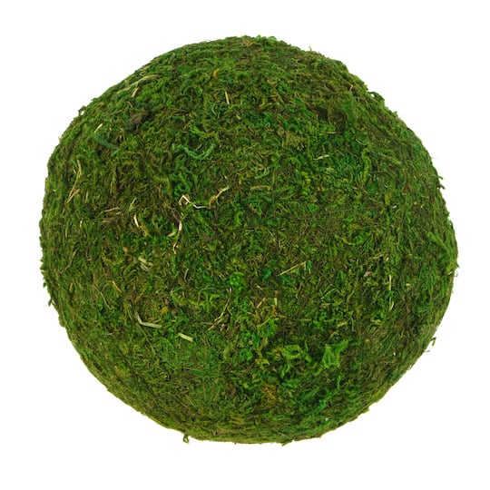 6&#x22; Green Moss Decorative Ball by Ashland&#xAE;